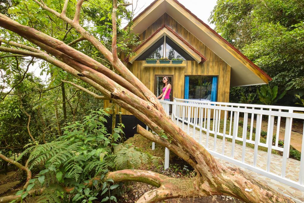 Arenal Waterfall Lodge المظهر الخارجي الصورة